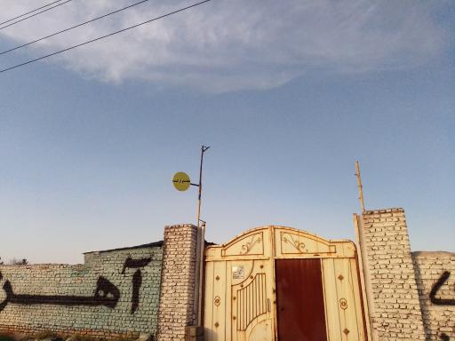 عکس مجتمع ارکیده