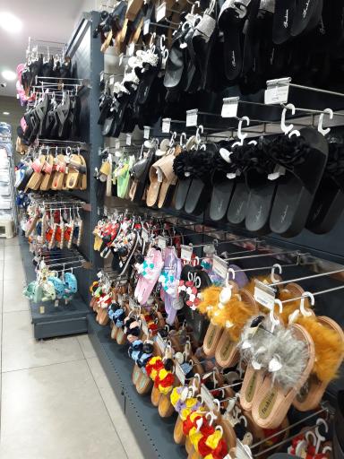 عکس پلاسکو صبوری 