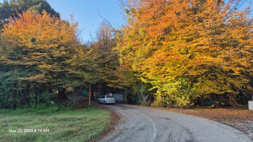 عکس پارک جنگلی تلار