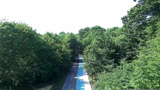 عکس پارک جنگلی تلار