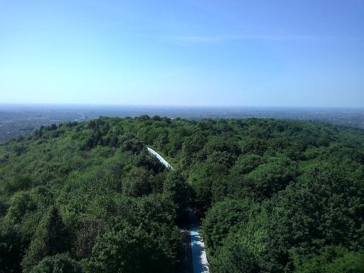 عکس پارک جنگلی تلار