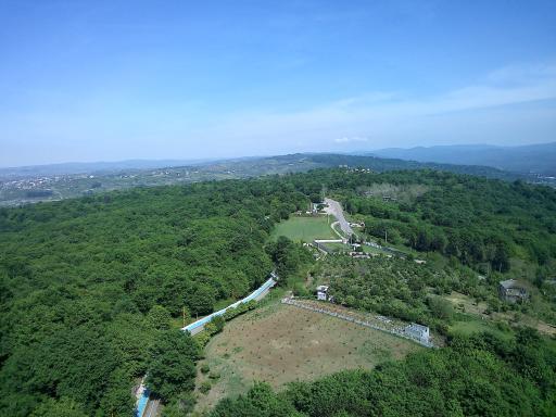 عکس پارک جنگلی تلار