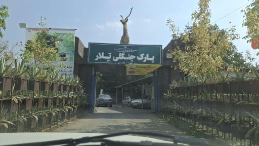 عکس پارک جنگلی تلار