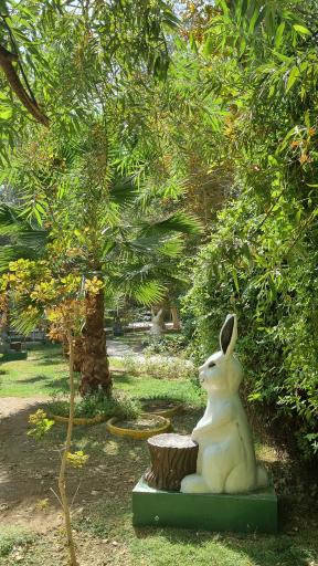 عکس پارک هفتم تیر