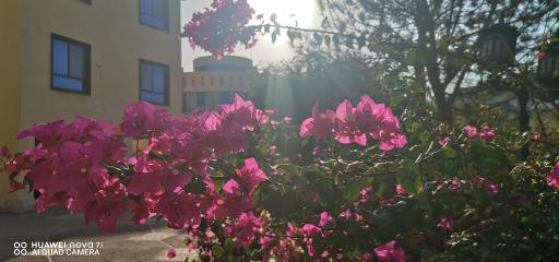 عکس هتل ناجی