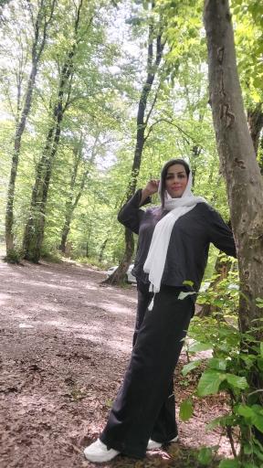 عکس پارک جنگلی تلار