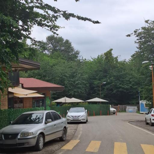 عکس پارک جنگلی تلار