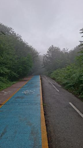 عکس پارک جنگلی تلار