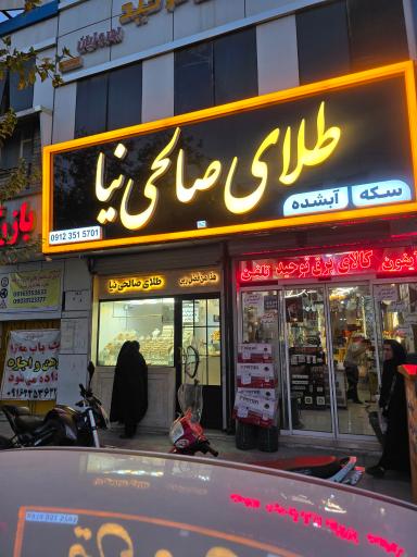 عکس طلای صالحی نیا