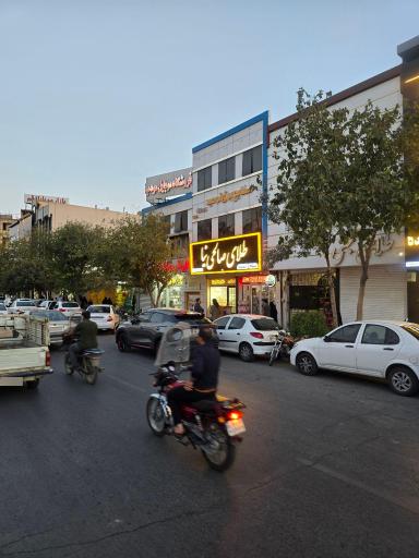 عکس طلای صالحی نیا