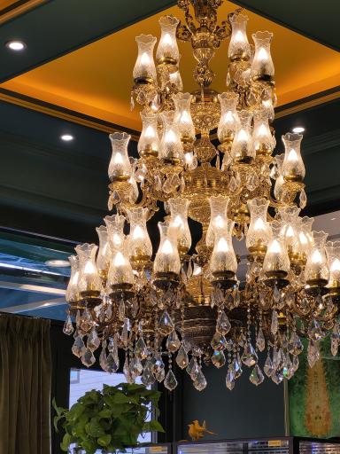 عکس کافه پتوس