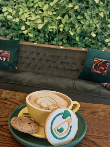 عکس کافه پتوس