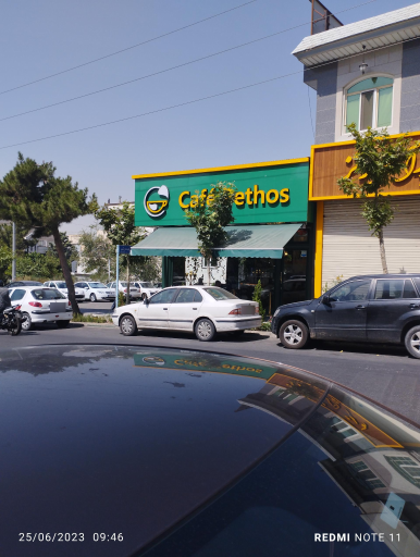 عکس کافه پتوس