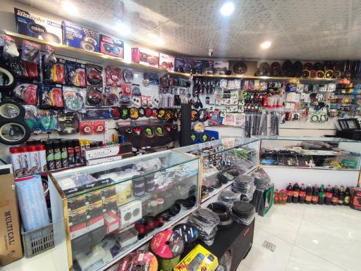 عکس دزدگیر سیستم لوکس