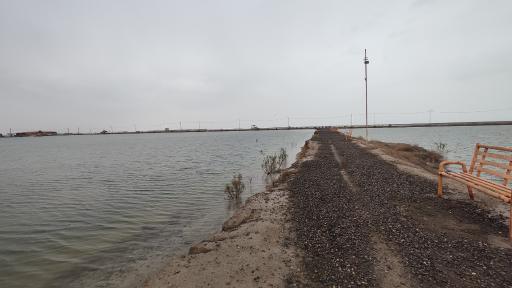 عکس شرفخانه