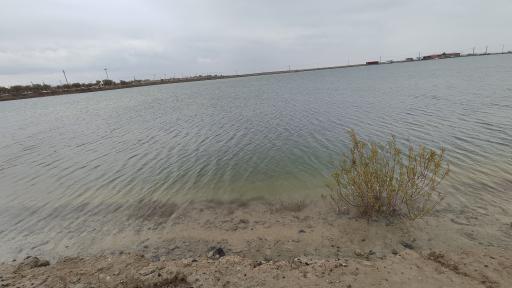 عکس شرفخانه