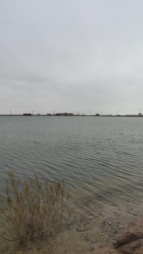 عکس شرفخانه