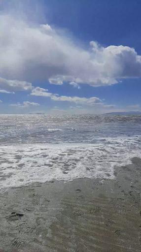 عکس شرفخانه