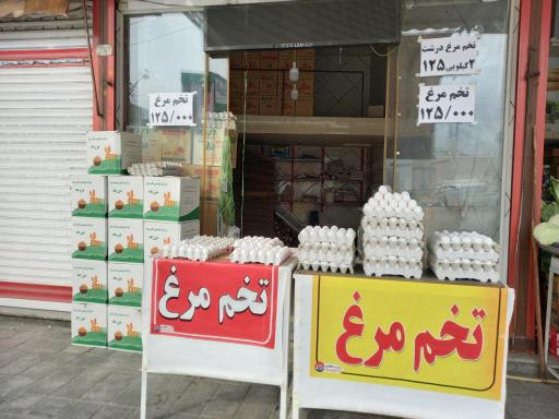 تخم مرغ فروشی جزئی و کلی کرمی
