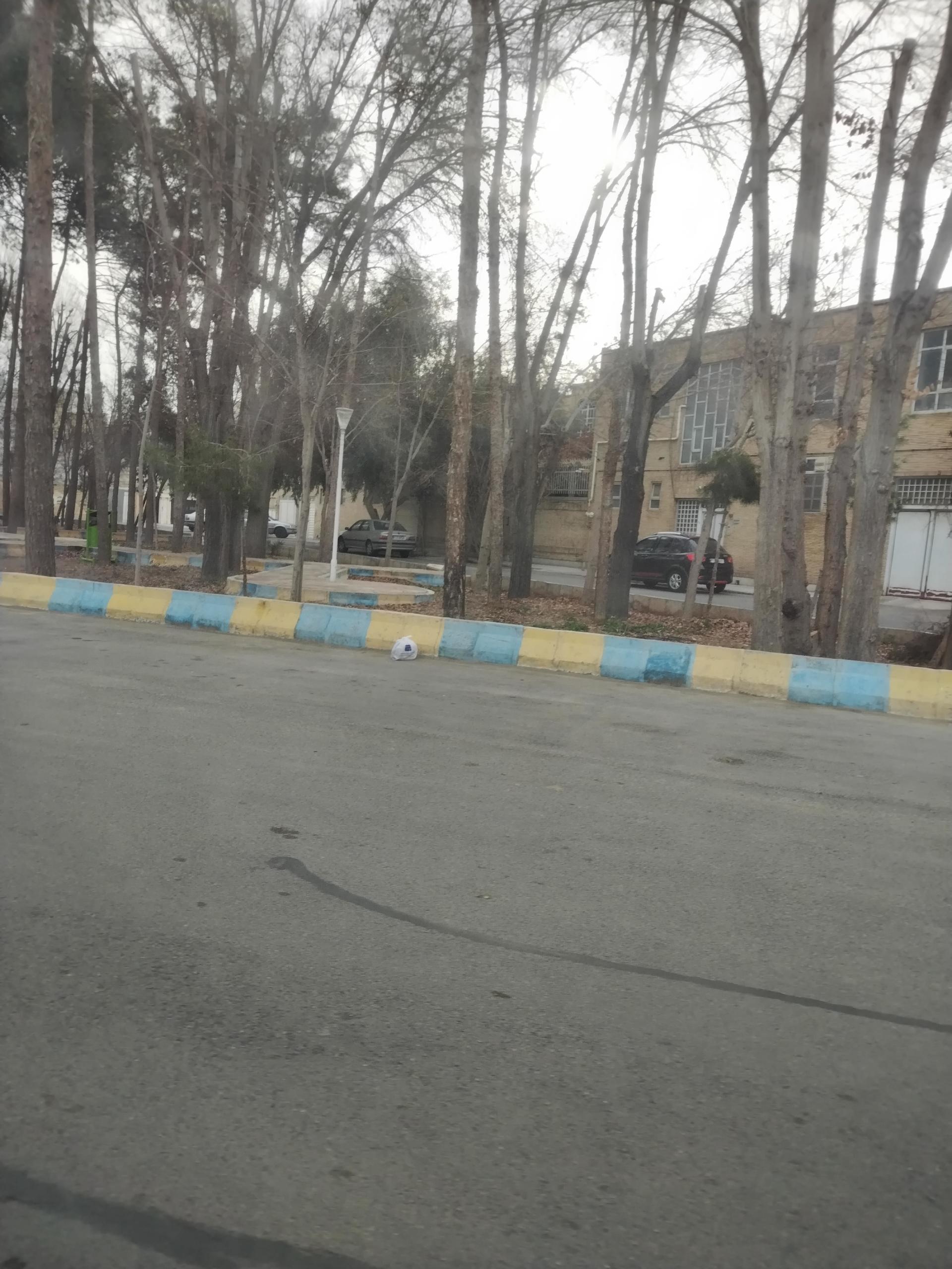 عکس فضای سبز