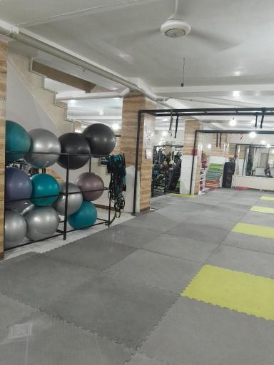 عکس باشگاه نبض