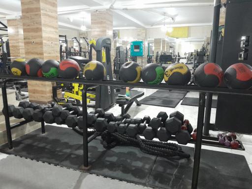 عکس باشگاه نبض