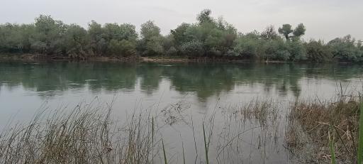 عکس کوشکک