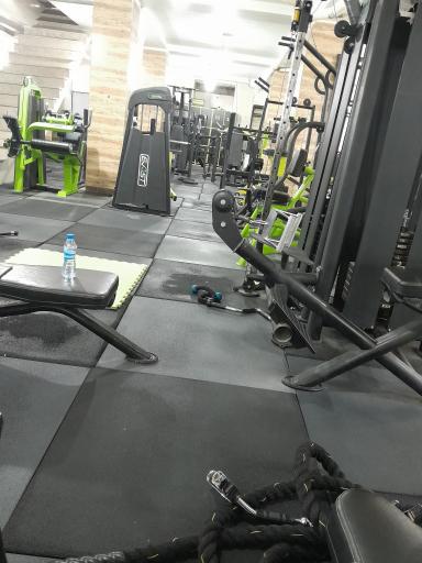 عکس باشگاه نبض