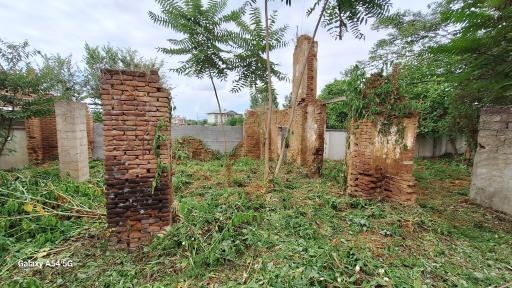 عکس دانشگاه مدرسه نظام میرزاجنگل