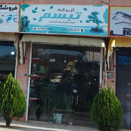 عکس گل و گیاه تبسم