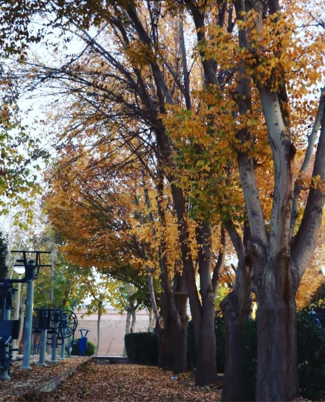 عکس پارک شقایق