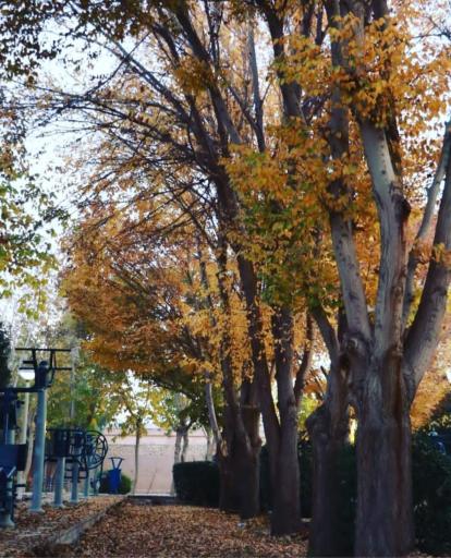 عکس پارک شقایق