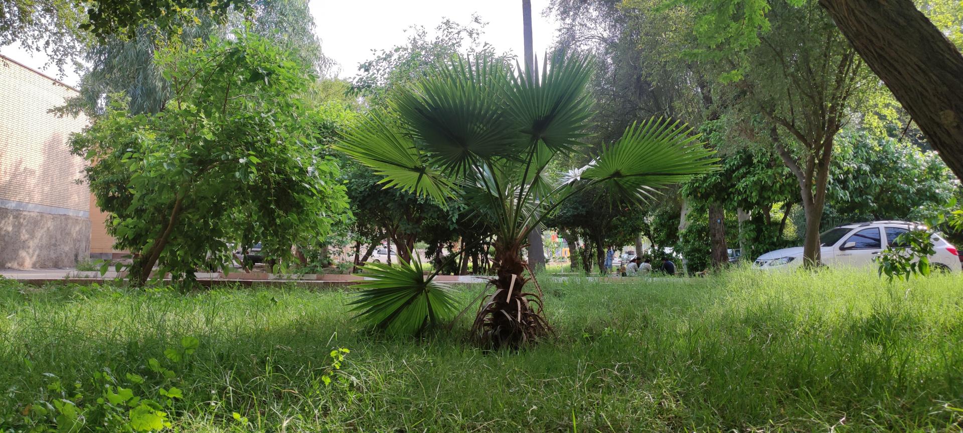 عکس بوستان شهید مطهری