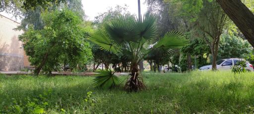 عکس بوستان شهید مطهری