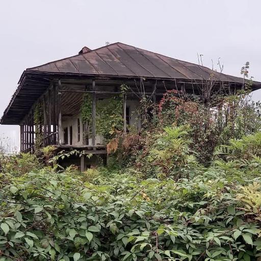 عکس دانشگاه مدرسه نظام میرزاجنگل