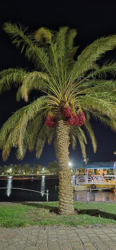 عکس دریاچه مصنوعی