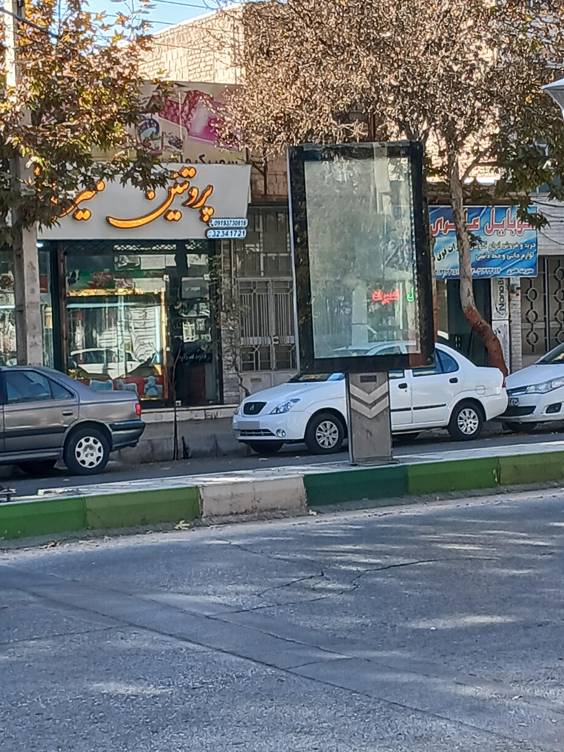 عکس پروتئین میرزایی