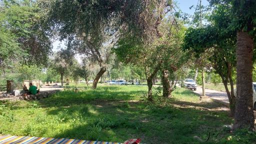 عکس بوستان شهید مطهری