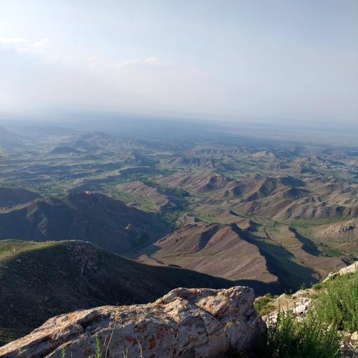 عکس درفک علیا