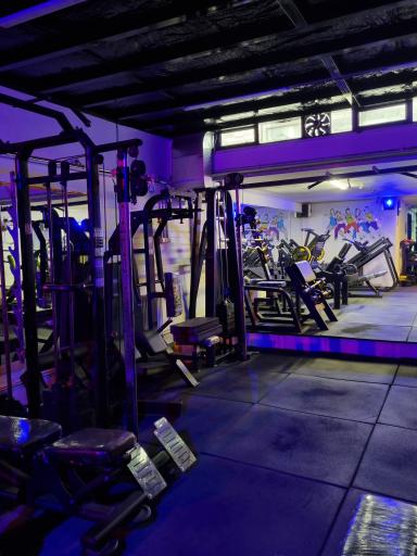 عکس باشگاه ورزشی فارمیس