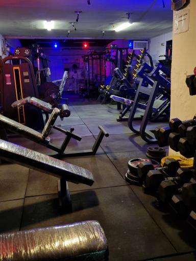 عکس باشگاه ورزشی فارمیس