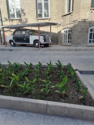 عکس کاخ موزه عمارت شهرداری (برج ساعت)