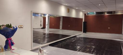 عکس باشگاه البرز