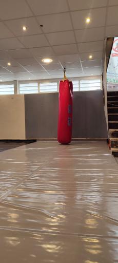 باشگاه البرز