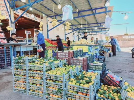 عکس میوه‌سرا علی مستر