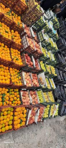 عکس میوه‌سرا علی مستر