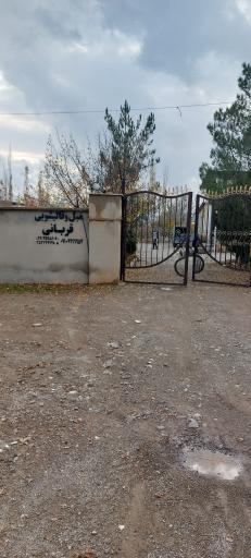 قالیشویی قربانی