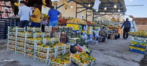 عکس میوه‌سرا علی مستر