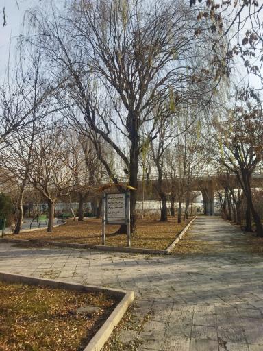 عکس بوستان افرا