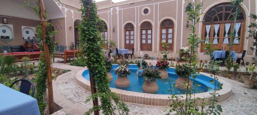 بومگردی نیلوفر آبی